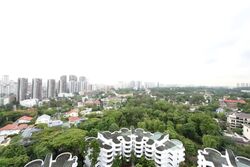 Regency Park (D10), Condominium #594638821